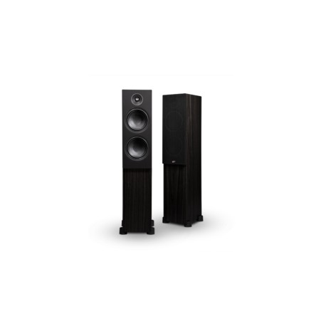 PSB ALPHA T20 ALTAVOZ DE PISO 2 Vias 3
