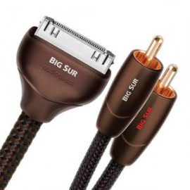 BIGSUR01IR Cable de 1 metro de ipod 30 pines a 2 rca