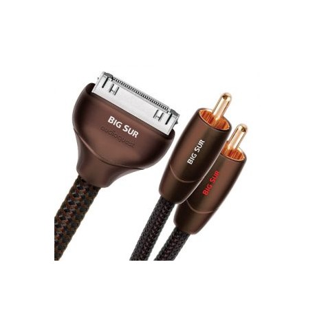 BIGSUR01IR Cable de 1 metro de ipod 30 pines a 2 rca