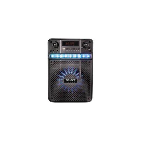 BT1808 Bafle thunder 8 pulgadas recargable radio fm usb color negro